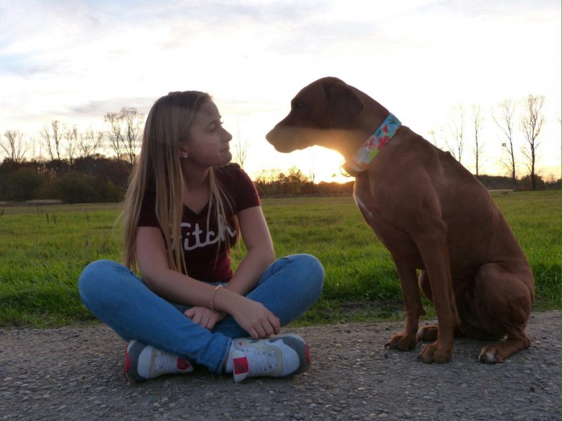 Wochenendseminar mit Gerd Schreiber Hundeschule Ziemer